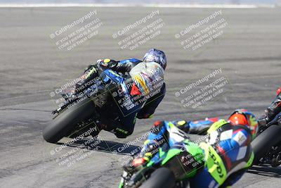 media/Feb-04-2024-SoCal Trackdays (Sun) [[91d6515b1d]]/4-Bowl Backside (11am)/